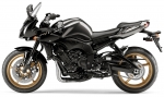 2010-Yamaha-FZ1a.jpg